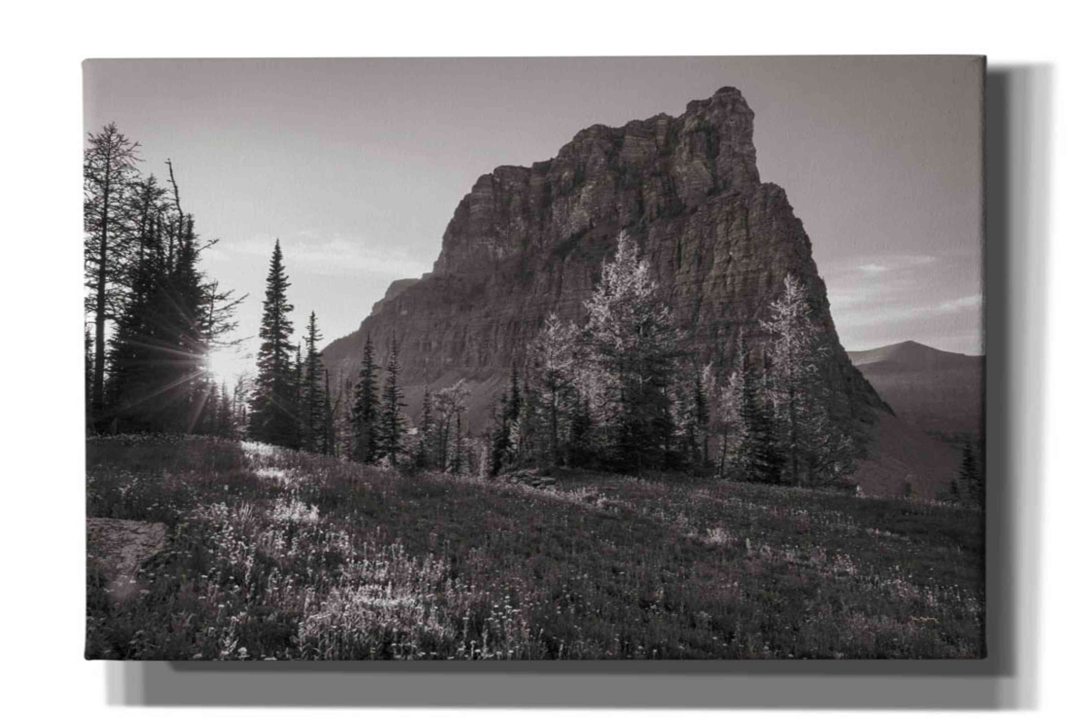 'Boulder Pass Glacier National Park BW' by Alan Majchrowicz,Giclee Canvas Wall Art
