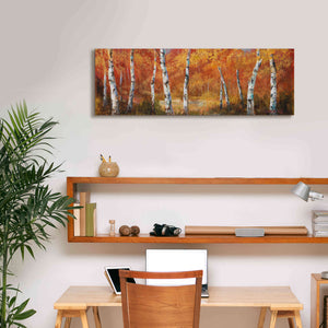 'Autumn Birch I' by Art Fronckowiak, Giclee Canvas Wall Art,36x12