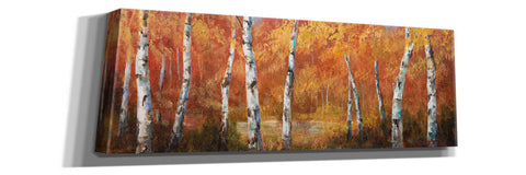Image of 'Autumn Birch I' by Art Fronckowiak, Giclee Canvas Wall Art