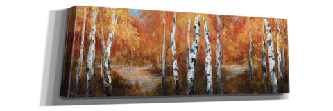 Image of 'Autumn Birch II' by Art Fronckowiak, Giclee Canvas Wall Art