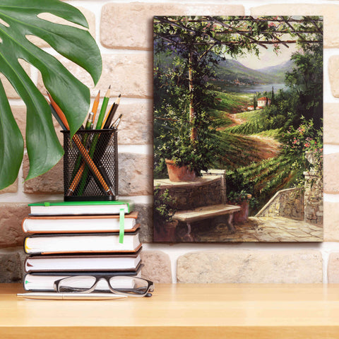 Image of 'Chianti Vineyard' by Art Fronckowiak, Giclee Canvas Wall Art,12x16