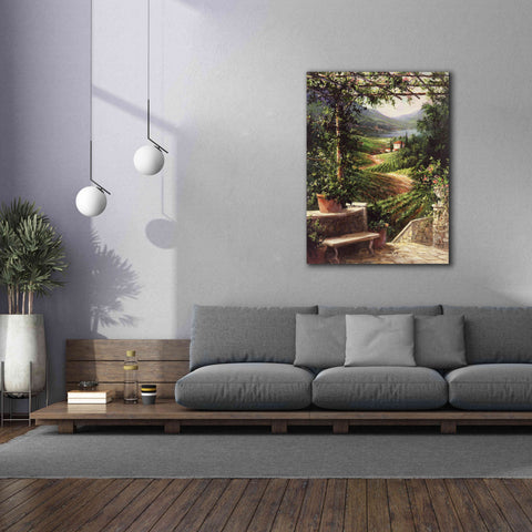 Image of 'Chianti Vineyard' by Art Fronckowiak, Giclee Canvas Wall Art,40x54