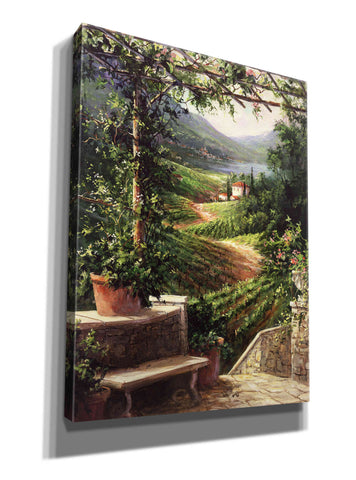 Image of 'Chianti Vineyard' by Art Fronckowiak, Giclee Canvas Wall Art