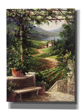 Image of 'Chianti Vineyard' by Art Fronckowiak, Giclee Canvas Wall Art