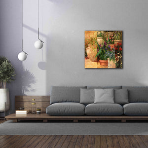 'Flower Pots Left' by Art Fronckowiak, Giclee Canvas Wall Art,37x37