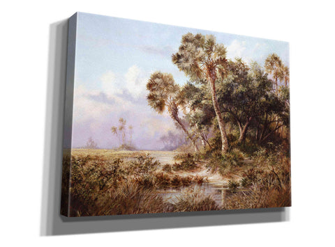 Image of 'Glades Cove' by Art Fronckowiak, Giclee Canvas Wall Art