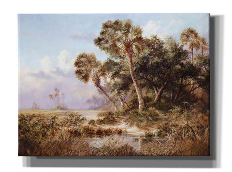 Image of 'Glades Cove' by Art Fronckowiak, Giclee Canvas Wall Art