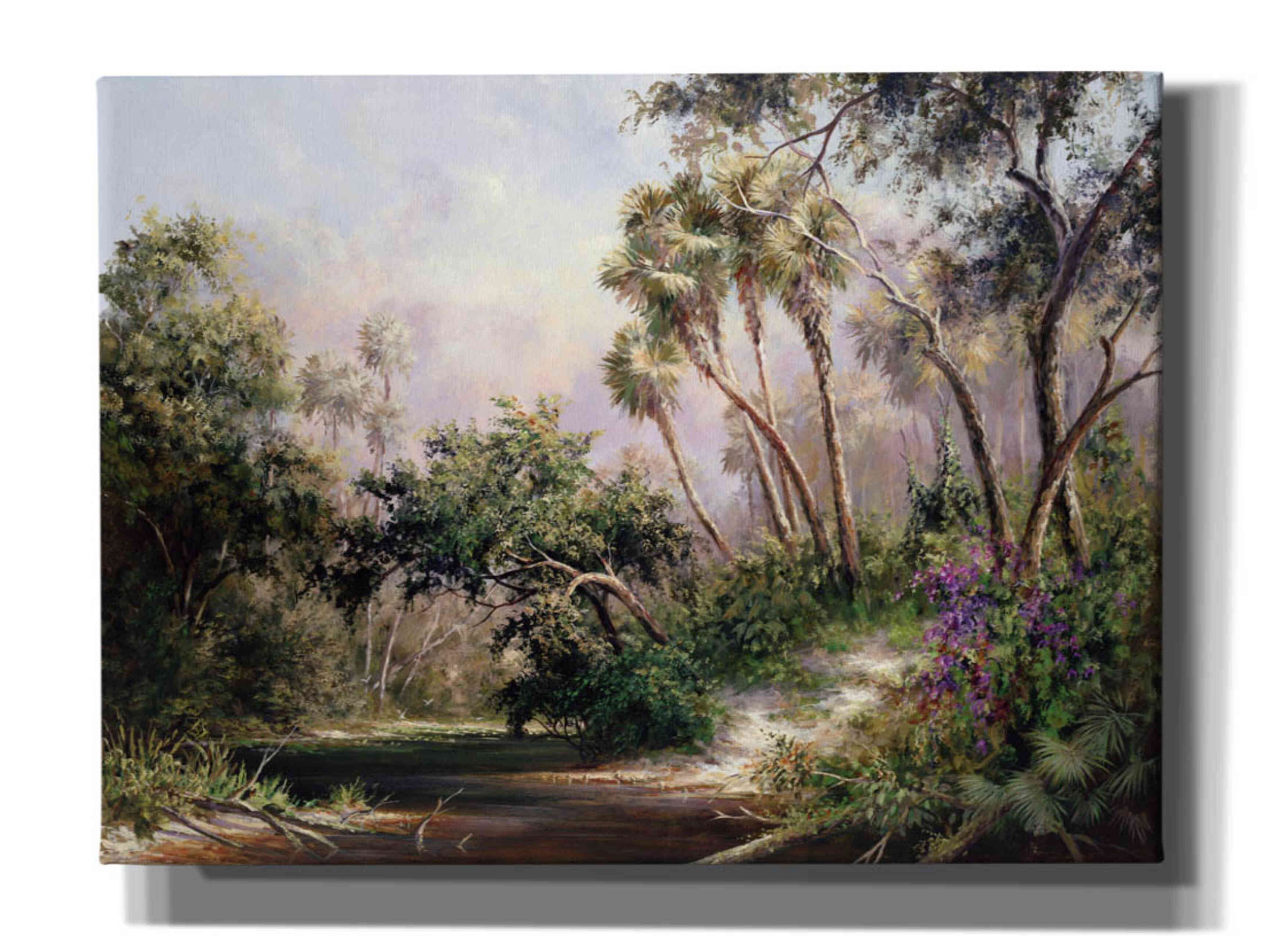 'Myakka River Scene' by Art Fronckowiak, Giclee Canvas Wall Art