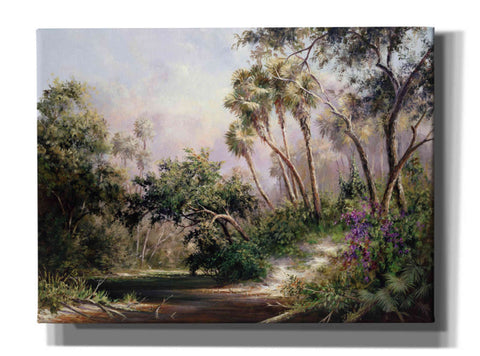 Image of 'Myakka River Scene' by Art Fronckowiak, Giclee Canvas Wall Art