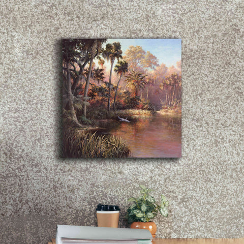Image of 'Myakka Sunset' by Art Fronckowiak, Giclee Canvas Wall Art,18x18