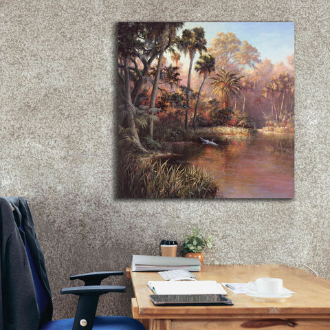 Image of 'Myakka Sunset' by Art Fronckowiak, Giclee Canvas Wall Art,37x37