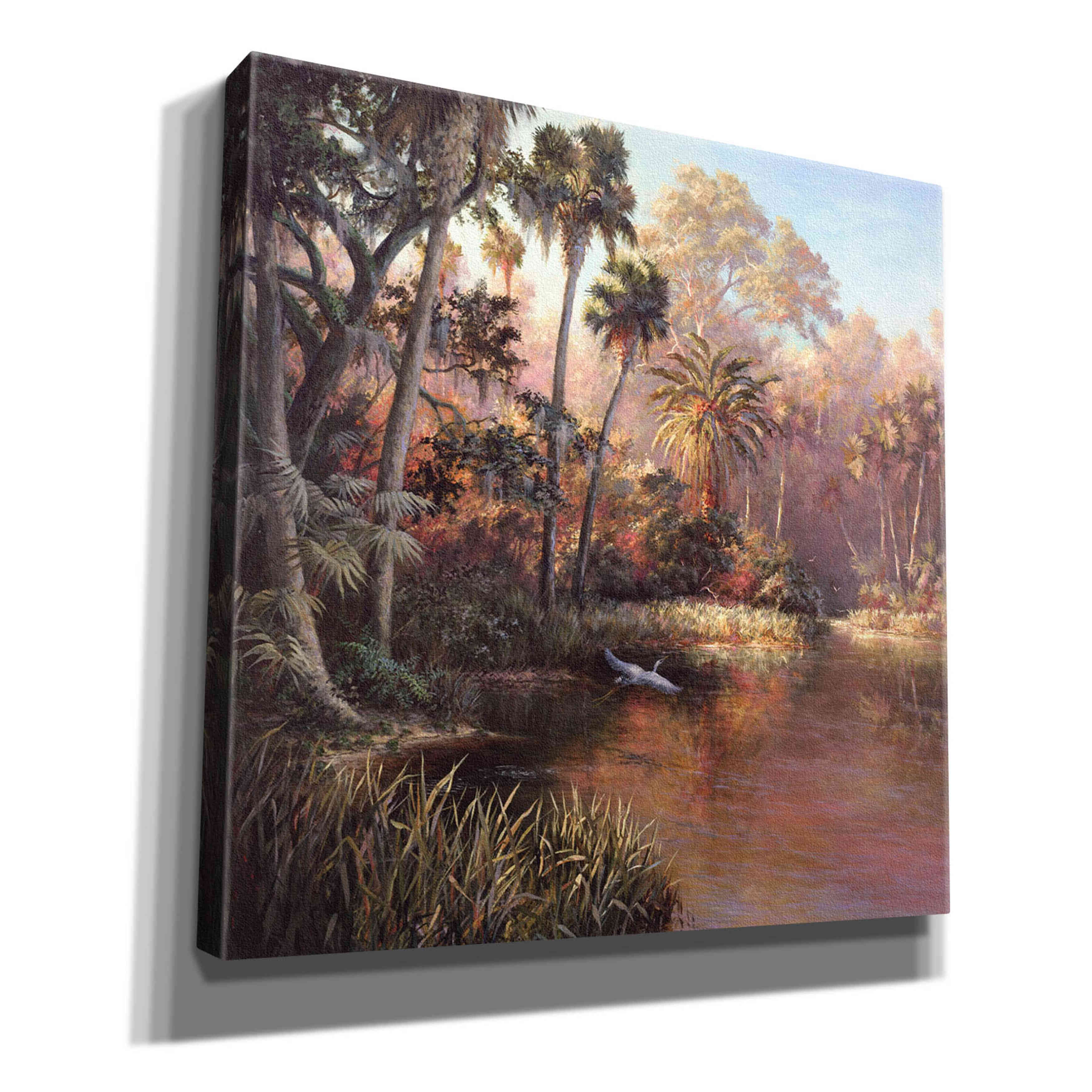 'Myakka Sunset' by Art Fronckowiak, Giclee Canvas Wall Art