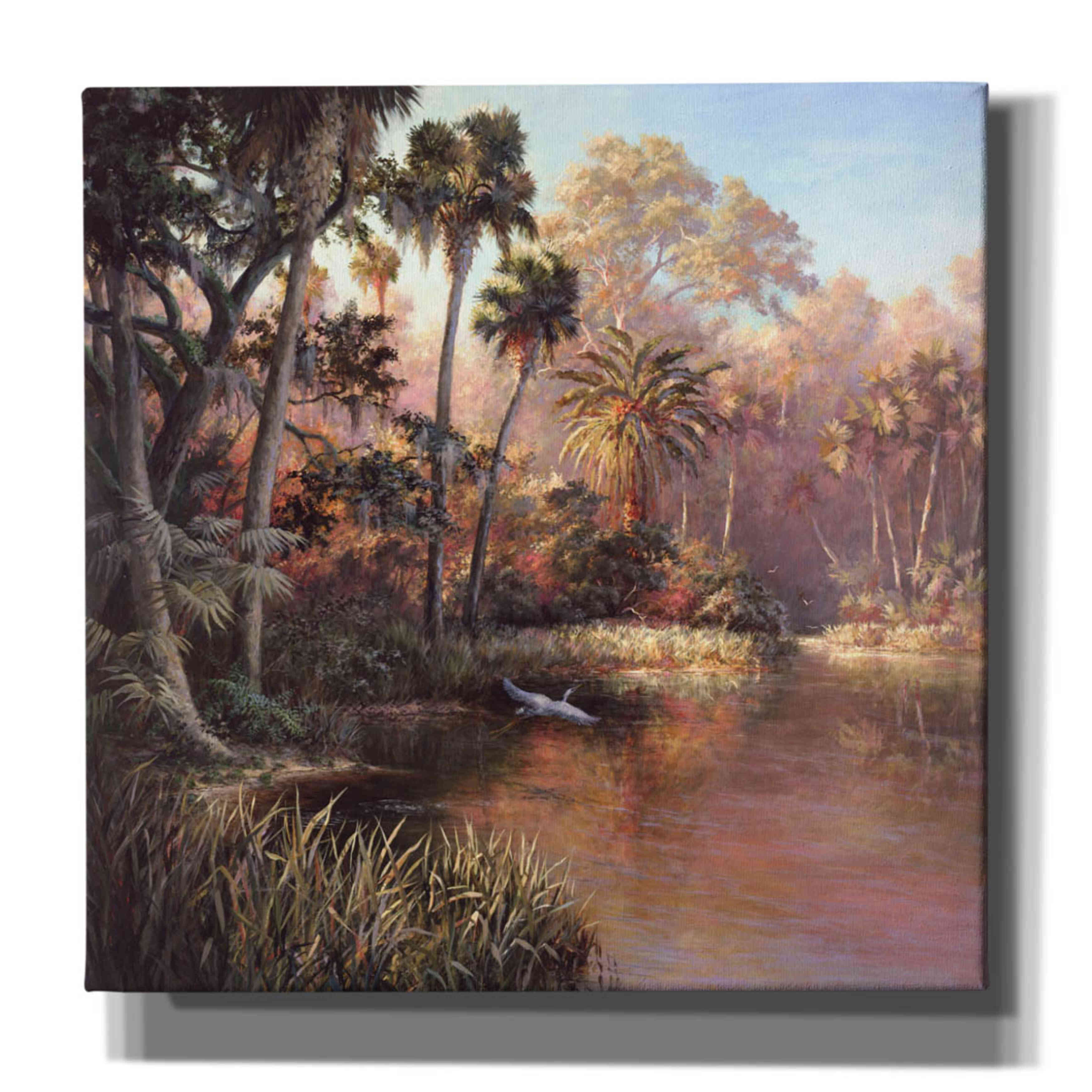 'Myakka Sunset' by Art Fronckowiak, Giclee Canvas Wall Art