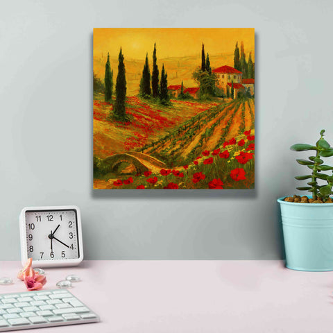 Image of 'Poppies of Toscano I' by Art Fronckowiak, Giclee Canvas Wall Art,12x12