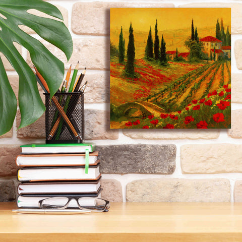 Image of 'Poppies of Toscano I' by Art Fronckowiak, Giclee Canvas Wall Art,12x12