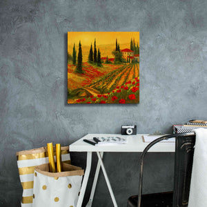 'Poppies of Toscano I' by Art Fronckowiak, Giclee Canvas Wall Art,18x18