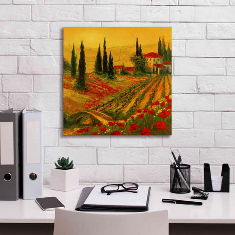 Image of 'Poppies of Toscano I' by Art Fronckowiak, Giclee Canvas Wall Art,18x18