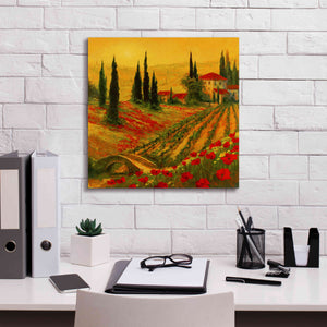 'Poppies of Toscano I' by Art Fronckowiak, Giclee Canvas Wall Art,18x18