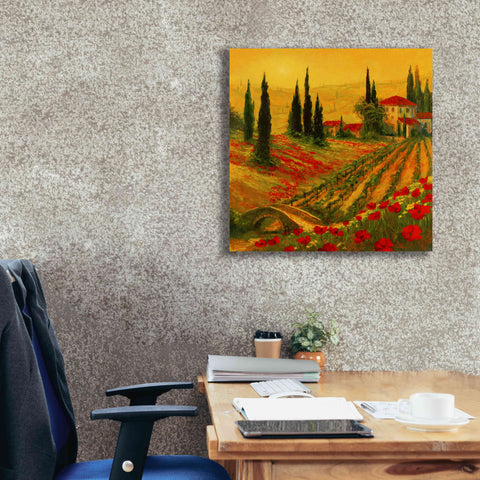 Image of 'Poppies of Toscano I' by Art Fronckowiak, Giclee Canvas Wall Art,26x26