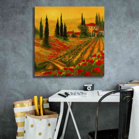 Image of 'Poppies of Toscano I' by Art Fronckowiak, Giclee Canvas Wall Art,26x26