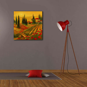 'Poppies of Toscano I' by Art Fronckowiak, Giclee Canvas Wall Art,26x26