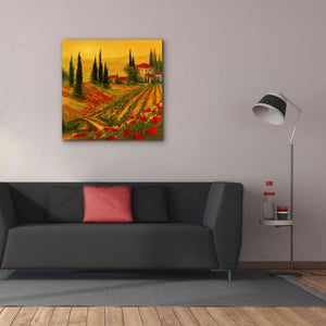 'Poppies of Toscano I' by Art Fronckowiak, Giclee Canvas Wall Art,37x37