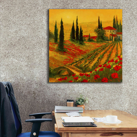 Image of 'Poppies of Toscano I' by Art Fronckowiak, Giclee Canvas Wall Art,37x37