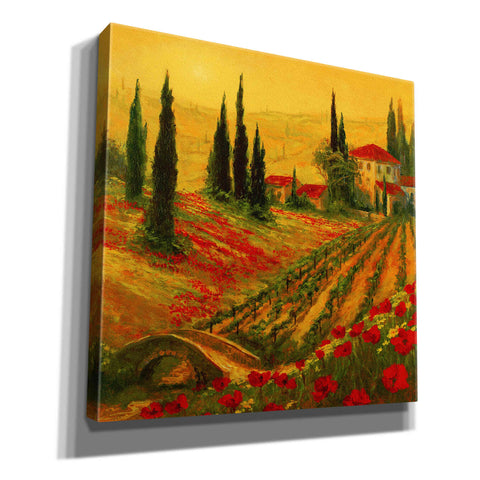 Image of 'Poppies of Toscano I' by Art Fronckowiak, Giclee Canvas Wall Art