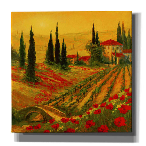 Image of 'Poppies of Toscano I' by Art Fronckowiak, Giclee Canvas Wall Art
