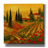 'Poppies of Toscano I' by Art Fronckowiak, Giclee Canvas Wall Art