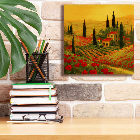 Image of 'Poppies of Toscano II' by Art Fronckowiak, Giclee Canvas Wall Art,12x12