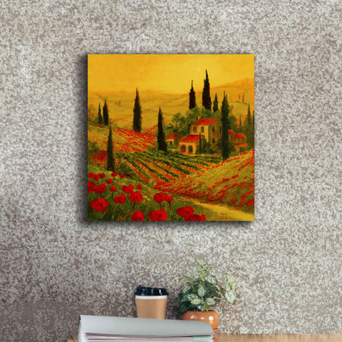 Image of 'Poppies of Toscano II' by Art Fronckowiak, Giclee Canvas Wall Art,18x18