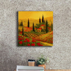'Poppies of Toscano II' by Art Fronckowiak, Giclee Canvas Wall Art,18x18