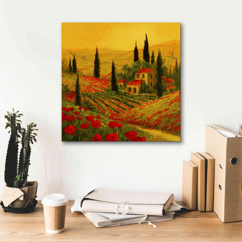 Image of 'Poppies of Toscano II' by Art Fronckowiak, Giclee Canvas Wall Art,18x18