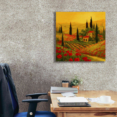 Image of 'Poppies of Toscano II' by Art Fronckowiak, Giclee Canvas Wall Art,26x26