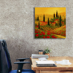 'Poppies of Toscano II' by Art Fronckowiak, Giclee Canvas Wall Art,26x26