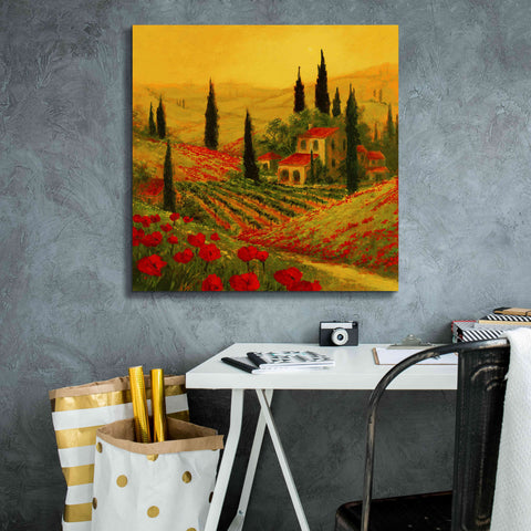 Image of 'Poppies of Toscano II' by Art Fronckowiak, Giclee Canvas Wall Art,26x26