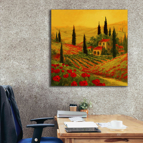 Image of 'Poppies of Toscano II' by Art Fronckowiak, Giclee Canvas Wall Art,37x37