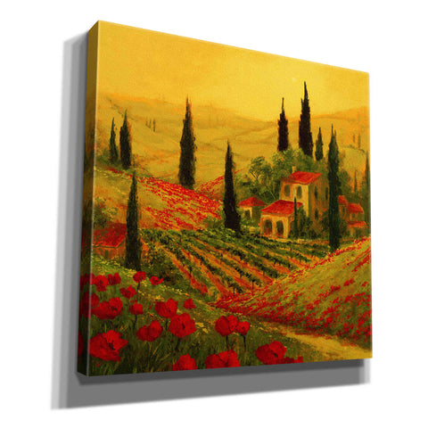 Image of 'Poppies of Toscano II' by Art Fronckowiak, Giclee Canvas Wall Art