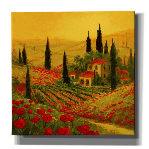 Image of 'Poppies of Toscano II' by Art Fronckowiak, Giclee Canvas Wall Art