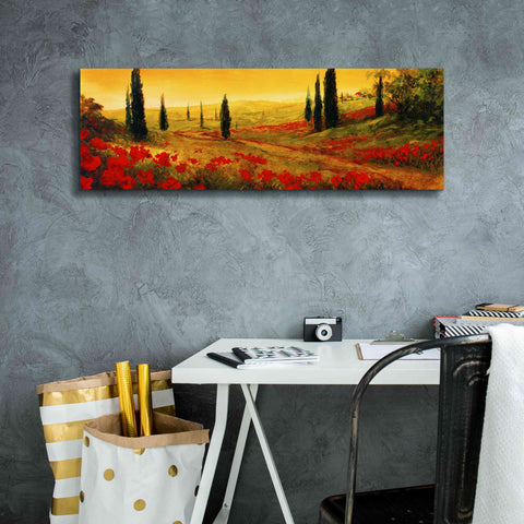 Image of 'Toscano Panel I' by Art Fronckowiak, Giclee Canvas Wall Art,36x12