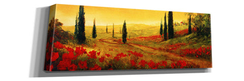 Image of 'Toscano Panel I' by Art Fronckowiak, Giclee Canvas Wall Art