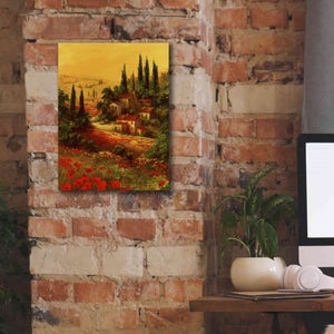 'Toscano Valley I' by Art Fronckowiak, Giclee Canvas Wall Art,12x16