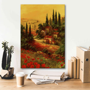 'Toscano Valley I' by Art Fronckowiak, Giclee Canvas Wall Art,18x26