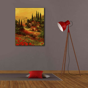 'Toscano Valley I' by Art Fronckowiak, Giclee Canvas Wall Art,26x34