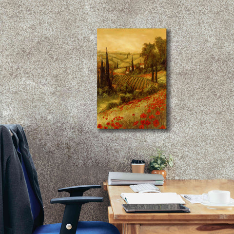 Image of 'Toscano Valley II' by Art Fronckowiak, Giclee Canvas Wall Art,18x26