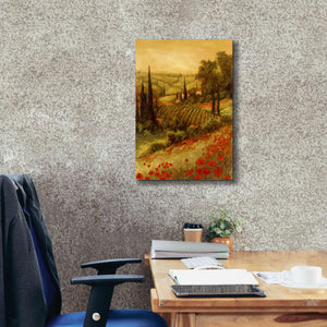 'Toscano Valley II' by Art Fronckowiak, Giclee Canvas Wall Art,18x26