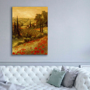 'Toscano Valley II' by Art Fronckowiak, Giclee Canvas Wall Art,40x54