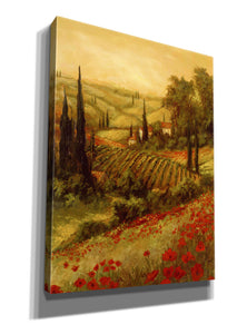 'Toscano Valley II' by Art Fronckowiak, Giclee Canvas Wall Art