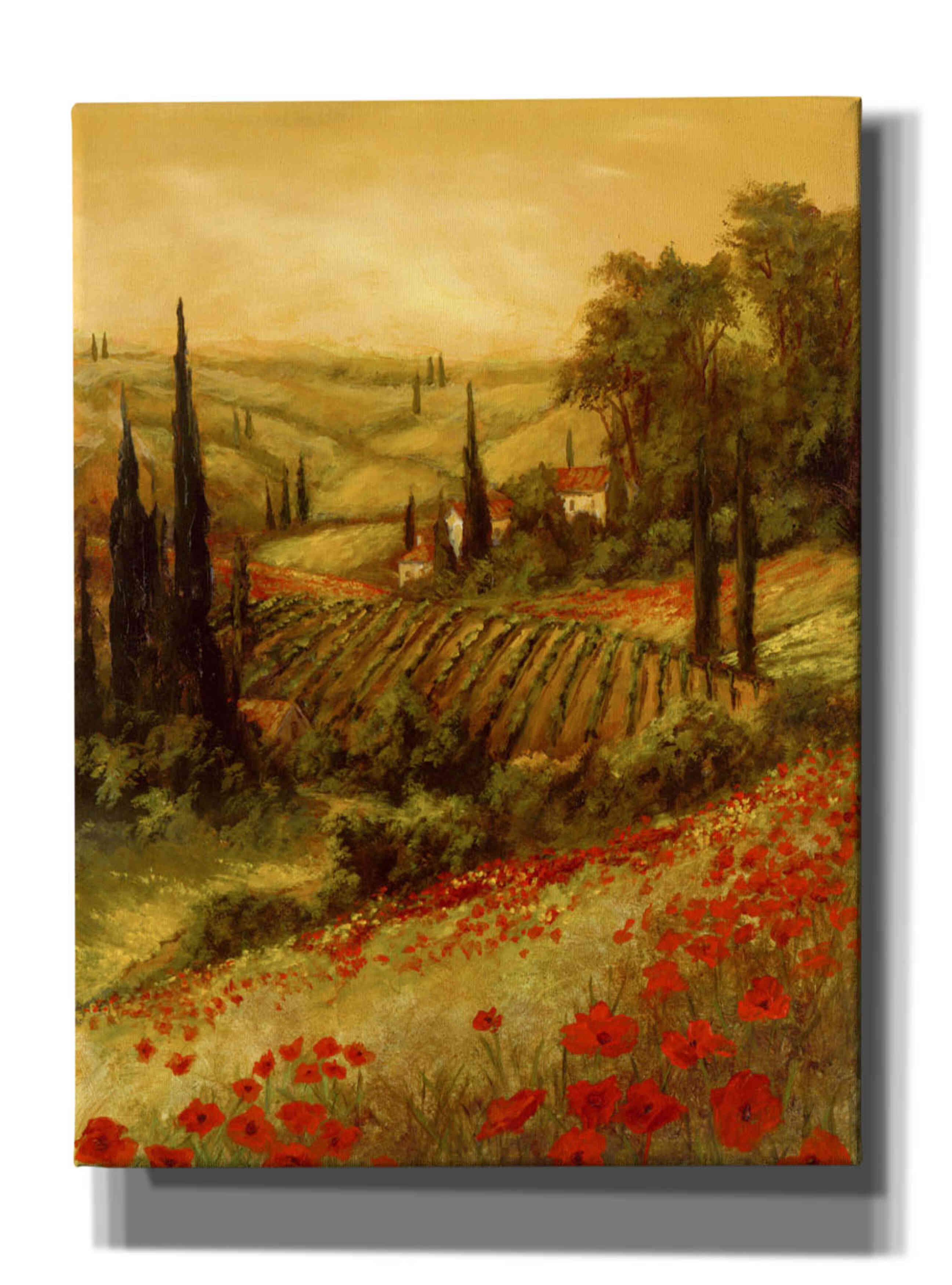 'Toscano Valley II' by Art Fronckowiak, Giclee Canvas Wall Art